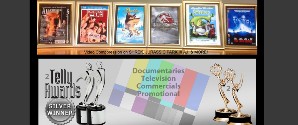 Moonvideo.com, Award Winning Video Production